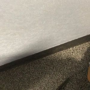 Meet your Posher, Mollie